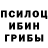 Псилоцибиновые грибы Magic Shrooms Sugar Toons