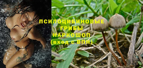 спайс Абдулино