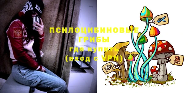 СК Абаза