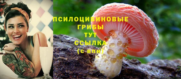 амф Новокубанск