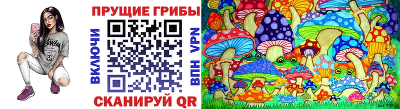 Псилоцибиновые грибы Psilocybe  Норильск 