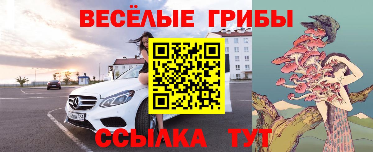 Галлюциногенные грибы GOLDEN TEACHER  что такое   Норильск  Вход с VPN 